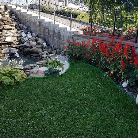 у галини 3* Lazeshchyna